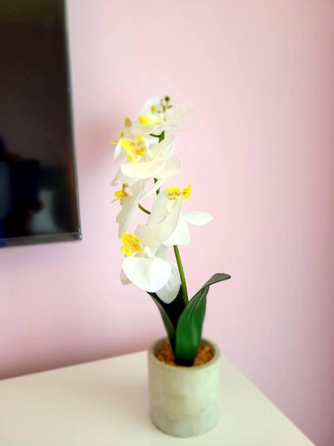 Eksclusive Apartment Paradise Down Town 6 Persons 3 Rooms Krakow Bagian luar foto